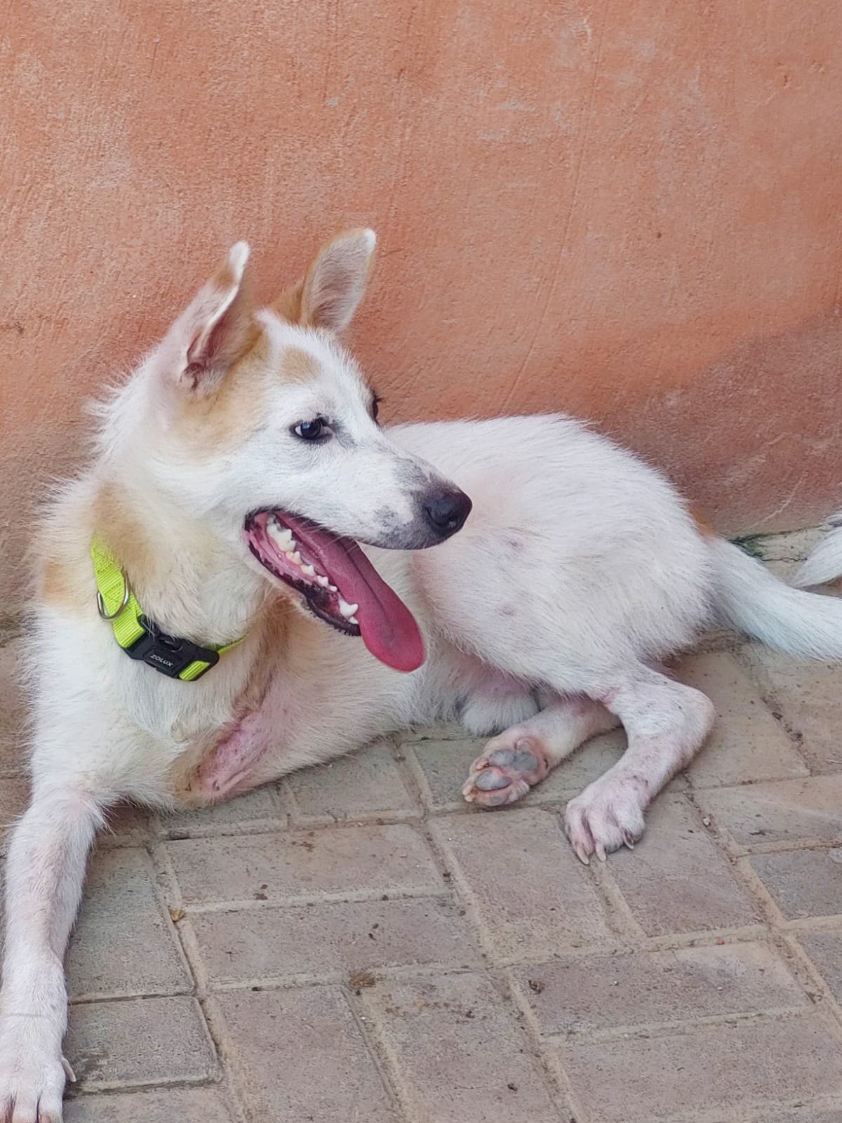 عزوز سعيد ومتعافٍ